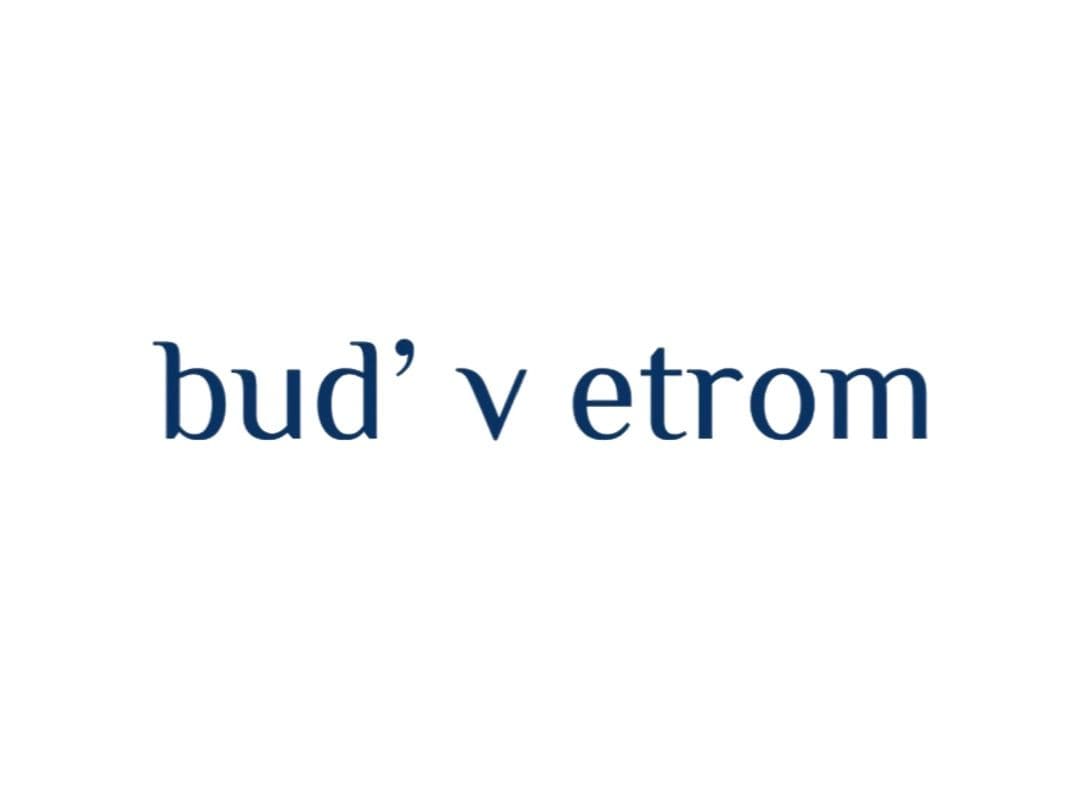 Логотип бренда bud’vetrom