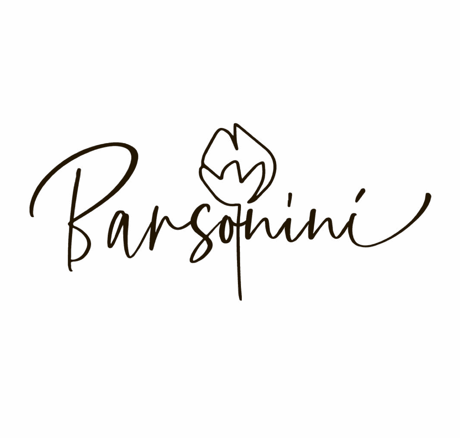 Логотип бренда Barsonini